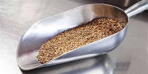 Steeping & Mini-Mashing: The Stepping Stone To All-Grain