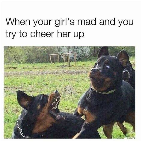 30+ Best Angry Dog Memes