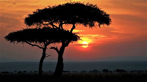 African Sunrise Wallpapers - Top Free African Sunrise Backgrounds ...