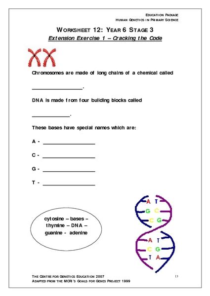 Chromosomes Genes And Dna Worksheet