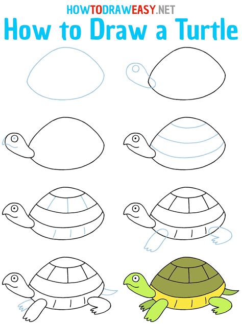 How to Draw a Turtle Step by Step | Turtle drawing, Turtle, Art drawings for kids