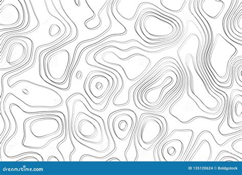 Topographic Abstract Vector Background in Black and White Design Stock ...