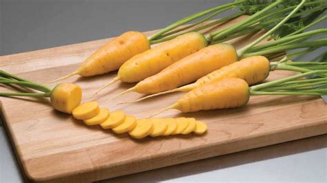 15 Must Have Carrot Varieties [Slideshow] - Growing Produce