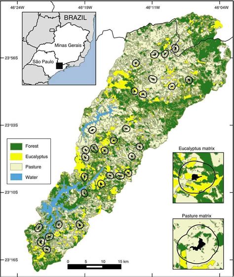 Use of small Atlantic Forest fragments by birds in Southeast Brazil | Perspectives in Ecology ...