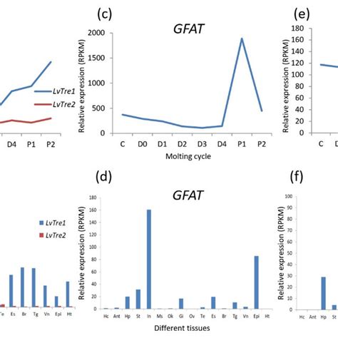 (PDF) Chitin Synthesis and Degradation in Crustaceans: A Genomic View and Application