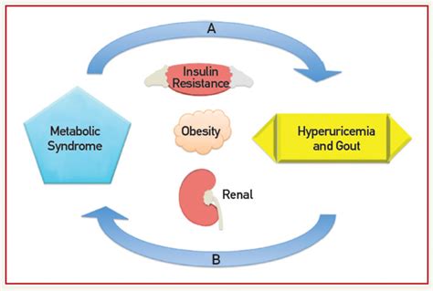 17 Metabolic Syndrome Complications — Sadhana Proactive Clinic - Dr ...