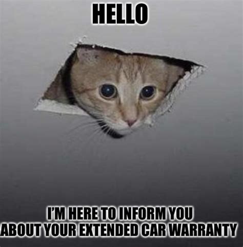 Ceiling cat says hi : r/memes