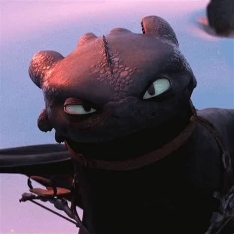 Popular Sneer - How To Train Your Dragon GIF - HowToTrainYourDragon Sneer Toothless - Discover ...