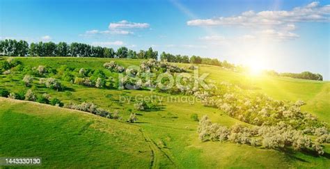 Free Photos: Moldova landscape sky mountains forest trees | David Mark