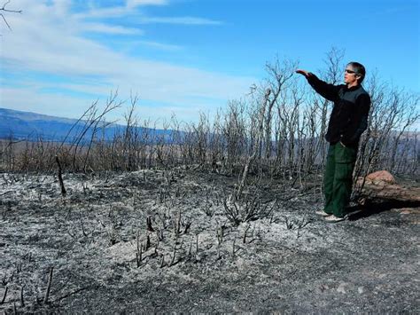 Forest Service plans prescribed fire in Aspen’s Hunter Creek Valley | PostIndependent.com