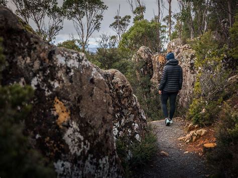 Arve Falls Tasmania | A Beautiful Waterfall In The Hartz Mountains