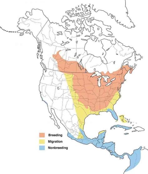 2024 Baltimore Oriole Migration Map - Heida Kristan