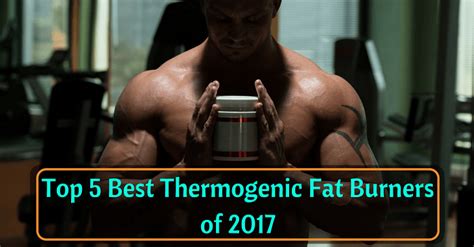 Top 5 Best Thermogenic Fat Burner of 2017 - Construct Muscles