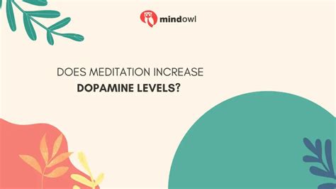 Does Meditation Increase Dopamine Levels? Exploring The Science Behind It - MindOwl