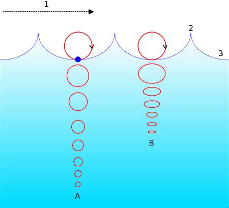 Shallow Water Waves | Definition & Formula - Lesson | Study.com