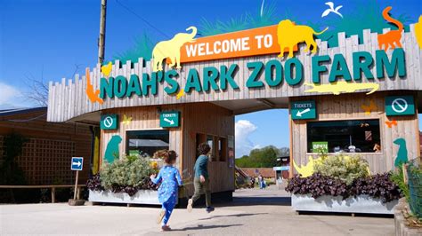 🌞 Your Big Day Out at Noah's Ark Zoo Farm 🌞 - YouTube