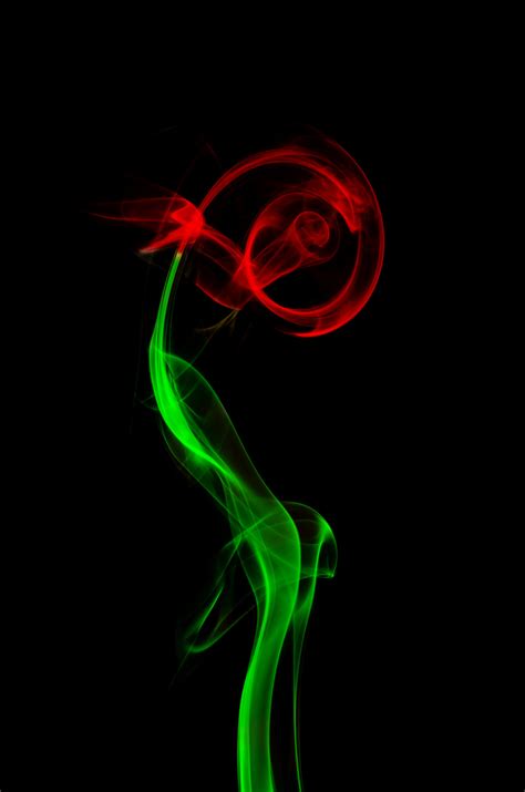 Free Images : abstract, flower, smoke, rose, green, red, color, macro ...