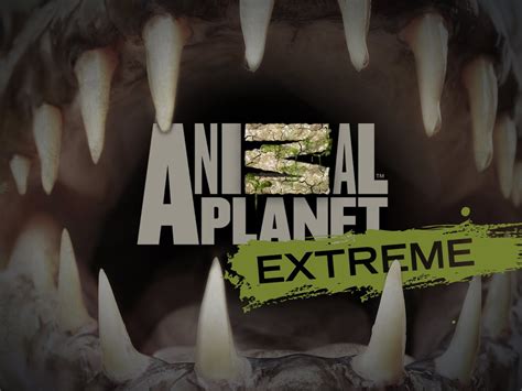 Animal Planet Extreme - Movies & TV on Google Play