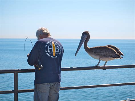 Huntington Beach Pier - Pier Fishing in California