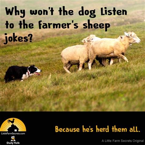 103 best Little Farm Secrets Joke Gallery images on Pinterest | Gallery ...