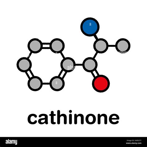 Cathinone khat stimulant molecule. Present in Catha edulis (khat ...