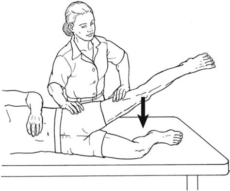 Testing the Muscles of the Lower Extremity | Musculoskeletal Key