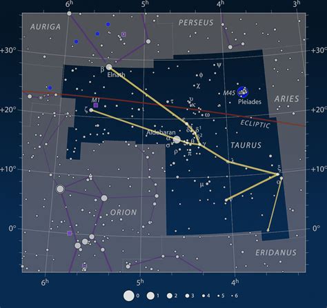 Taurus Constellation Facts For Kids (with illustrations)