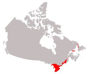 Great Lakes-St. Lawrence Lowlands - The Major Landform Regions in Canada