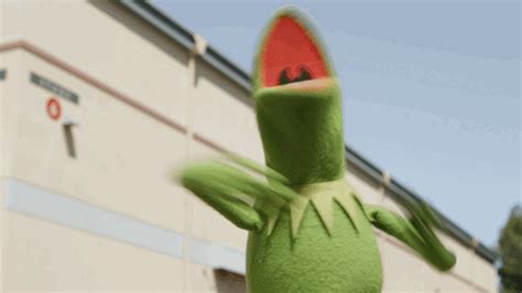 Disney News | Disney | Kermit the frog, Kermit, Kermit funny