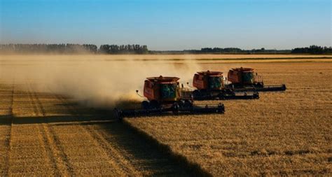 Why industrial agriculture is crucial to fighting climate change - CapX