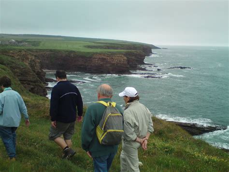 Irish Wildlife Trust...Waterford Branch: Coastal walk