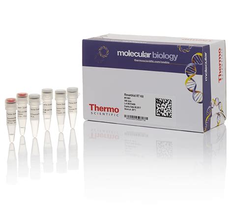 Thermo Scientific™ RevertAid RT Reverse Transcription Kit | Fisher Scientific