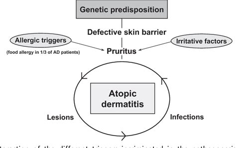 Figure 1 from Allergic triggers in atopic dermatitis. | Semantic Scholar