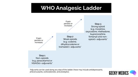 Prescribing Analgesia and the WHO Analgesic Ladder | Geeky Medics