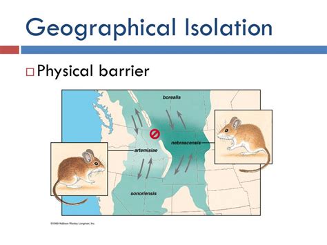 SPECIES AND SPECIATION - ppt download