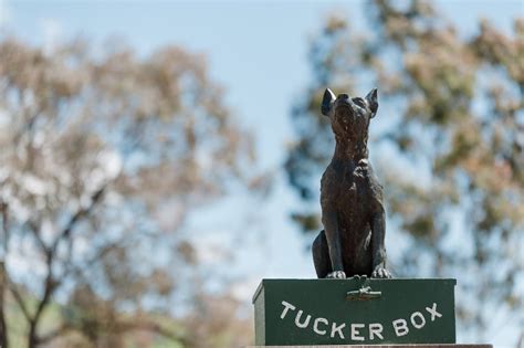 Dog on the Tuckerbox — Visit Gundagai