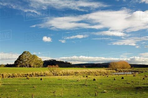 A Grassy Meadow - Stock Photo - Dissolve