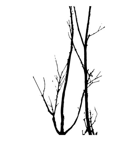 Dead Tree Silhouette Vector at Vectorified.com | Collection of Dead Tree Silhouette Vector free ...