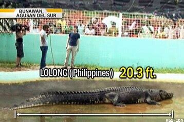 Crocodile 'Lolong' is dead | ABS-CBN News