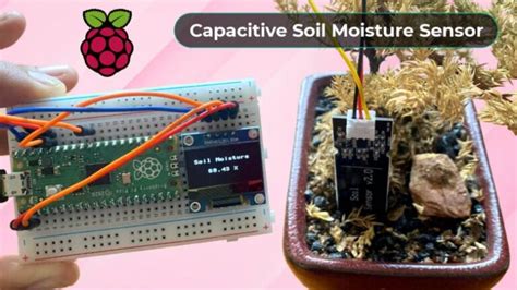 Capacitive Soil Moisture Sensor with Raspberry Pi Pico