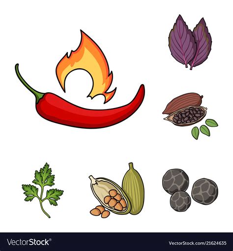 Herb and spices cartoon icons in set collection Vector Image