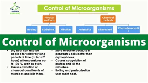 Control of Microorganisms | Physical and Chemical Methods - YouTube