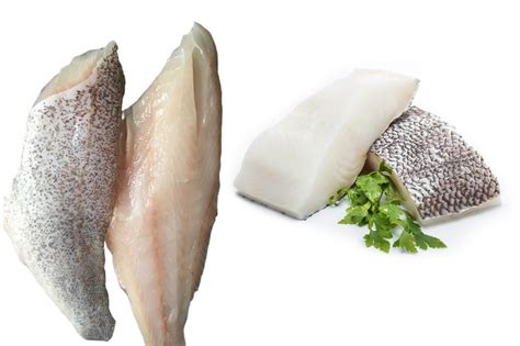 Grouper Fillets Natural Cut – WBH Seafood LLC
