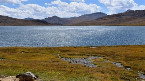 Top 6 Reasons to Visit Deosai National Park | Bookmundi