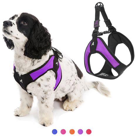 Gooby Dog Harness - Purple, Medium - Escape Free Easy Fit Patented Step ...