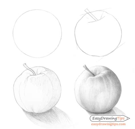 Apple Shading Drawing