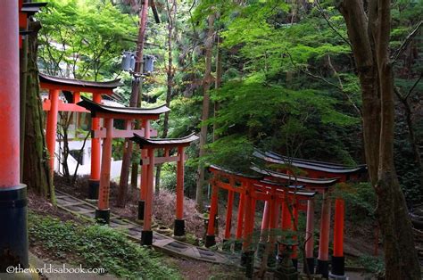 Trekking Through 10,000 Torii at Fushimi Inari Shrine Kyoto - The World Is A Book