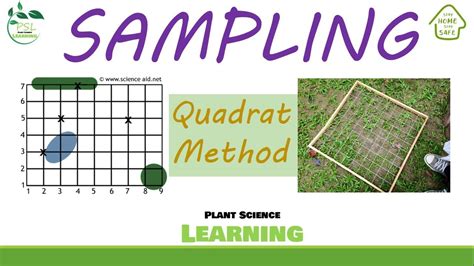 Quadrat Method- Sampling - YouTube