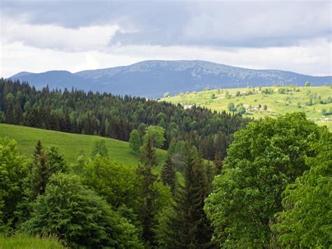 Premium Photo | Carpathian landscape with cloudy sky