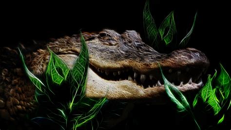 Alligator Wallpapers - Wallpaper Cave